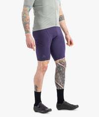 7mesh Men Purple Velvet / XS Men's MK3 Cargo Bib Short